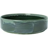 Тарелка «Аврора Везувиус Бернт» с бортом фарфор D=202,5,H=54мм бежев.,зелен.