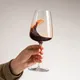 Бокал для вина «Диверто» хр.стекло 0,66л D=97,H=240мм прозр., Объем по данным поставщика (мл): 660, изображение 7