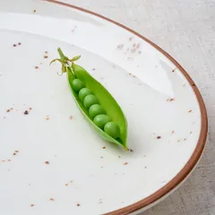 Блюдо «Париж» овальное фарфор ,L=25,B=19см белый,коричнев., Форма: Овальная, изображение 4