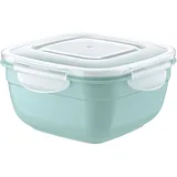 Контейнер для продуктов с крышкой   полипроп. 1л ,H=8,L=16,B=16см в ассорт.