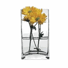 Flower vase “Botany” glass ,H=18,L=8,B=10cm clear.