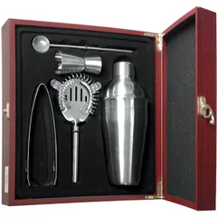 Bar set “Probar” (5 items)  stainless steel  silver.