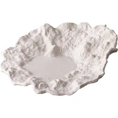 Plate “Ro Design Bai Erbisi” for presentations  ceramics  D=25cm  white, matte