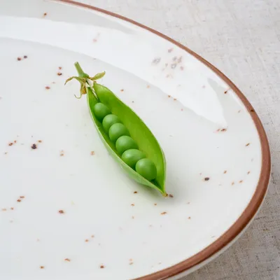 Блюдо «Париж» овальное фарфор ,L=25,B=19см белый,коричнев., Форма: Овальная, изображение 5