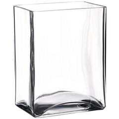 Flower vase “Botany” glass ,H=18cm clear.