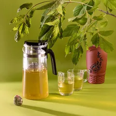 Чайник заварочный «Гунфу» с фильтром термост.стекло,поликарбонат 0,75л D=9,H=19,L=13см прозр., изображение 2