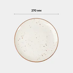 Тарелка «Париж» фарфор D=27см белый,коричнев., Диаметр (мм): 270, изображение 3