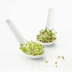 Ложка для мисосупа фарфор ,H=55,L=155,B=135мм белый, изображение 2