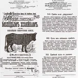 Бумага для конусов и сэндвичей «Корова»[1000шт] ,L=30,5,B=30,5см