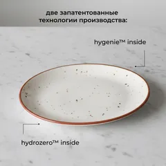 Блюдо «Париж» овальное фарфор ,L=25,B=19см белый,коричнев., Форма: Овальная, изображение 4