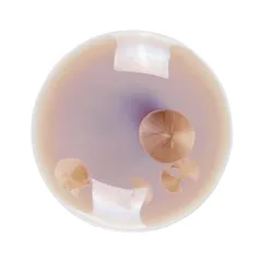 Блюдо для подачи «Фрост» фарфор D=10,H=4см коричнев., Цвет: Коричневый, Диаметр (мм): 100, Высота (мм): 40, изображение 2