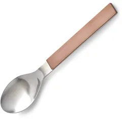 Dinner spoon stainless steel brown