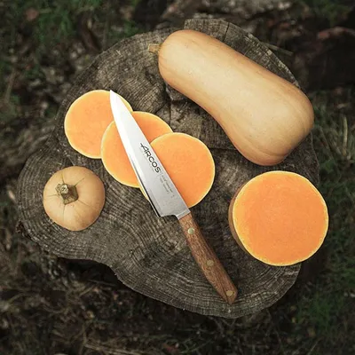 Нож поварской «Нордика» сталь нерж.,дерево ,L=16см, изображение 2