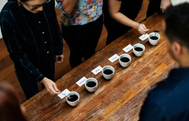 Как проводят дегустацию кофе профессионалы: этапы и секреты оценки