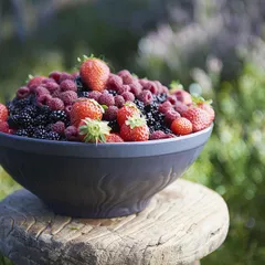 Салатник «Арборесценс» керамика 350мл D=140,H=55мм , изображение 2