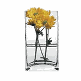 Ваза для цветов «Ботаника» стекло ,H=18,L=8,B=10см прозр.