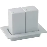 Набор для специй солонка и перечница фарфор ,H=85,L=120,B=70мм белый