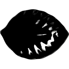 Блюдо «Кунстверк» лист фарфор ,H=16,L=201,B=146мм черный