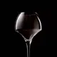 Бокал для вина «Оупен ап» хр.стекло 0,55л D=76/157,H=232мм прозр., Объем по данным поставщика (мл): 550, изображение 4