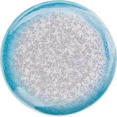 Тарелка «Нептун» фарфор D=150,H=15мм бирюз.,белый