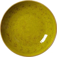 Salad bowl “Kraft Apple”  porcelain  1 l  D=255, H=35mm  yellow-green.