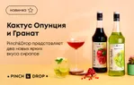 Кактус Опунция и Гранат: Pinch&Drop представляет два новых ярких вкуса сиропов