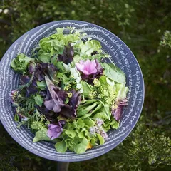 Салатник «Арборесценс» керамика 0,85л D=24,H=6см , изображение 4