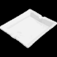 Пепельница для сигар «Кунстверк» фарфор ,H=30,L=195,B=160мм белый