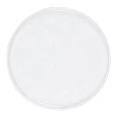 Тарелка «Фрост» с бортом фарфор D=280,H=18мм белый, Цвет: Белый, Диаметр (мм): 280
