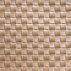 Салфетка сервировочная[6шт] полипроп. ,L=45,B=33см бежев.