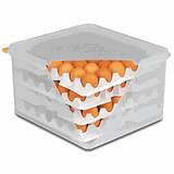 Контейнер для яиц на 120 штук с крышкой + 8 лотков полипроп. ,H=20,L=35,4,B=32,5см прозр.
