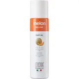 Концентрат «Дыня» фруктовый ODK уцененный пластик 0,75л D=65,H=280мм