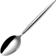 Table spoon "Montevideo"  chromonic. steel ,L=21.2cm