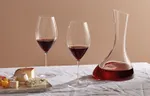 Рейтинг лучших бокалов для красного вина
