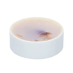 Блюдо для подачи «Фрост» фарфор D=10,H=4см коричнев., Цвет: Коричневый, Диаметр (мм): 100, Высота (мм): 40