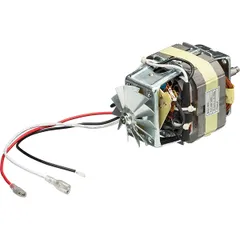 Motor for juicer PC700