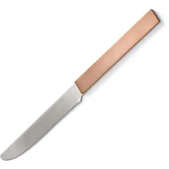 Table knife  stainless steel  brown