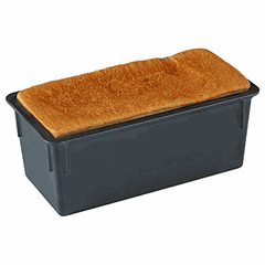 Bread pan with lid “Exoglass” 40*12*12cm  plastic