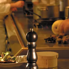 Мельница для соли «Шатонеф» дерево ,H=23см черный,матовый, изображение 2