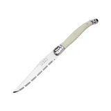 Steak knife stainless steel,plastic ,L=11/23cm