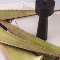 Мельница для перца абс-пластик ,H=26см черный, изображение 3