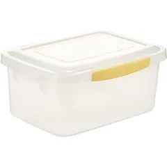 Food container with lid  polyprop. 6l ,H=14,L=30,B=22cm transparent.