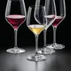 Бокал для вина «Мартина» хр.стекло 360мл D=58/80,H=205мм прозр., Объем по данным поставщика (мл): 360, изображение 2