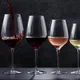Бокал для вина «Инальто Трэ Сэнси» стекло 0,65л D=97,H=243мм прозр., Объем по данным поставщика (мл): 650, изображение 7