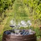 Бокал для вина «Линеа умана» хр.стекло 0,52л D=92,H=246мм прозр., изображение 2