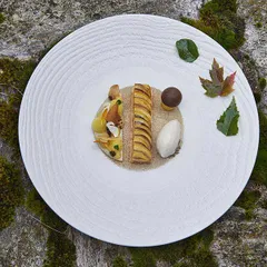 Тарелка «Арборесценс» мелкая фарфор D=310,H=35мм слон.кость, изображение 2