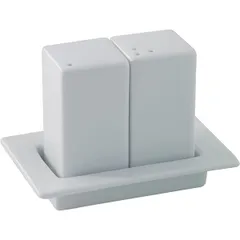 Набор для специй солонка и перечница фарфор ,H=85,L=120,B=70мм белый