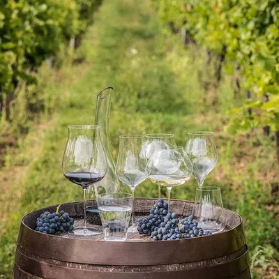 Бокал для вина «Линеа умана» хр.стекло 0,5л D=92,H=247мм прозр., изображение 2