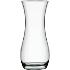 Flower vase “Botany” glass D=11,H=24cm clear.