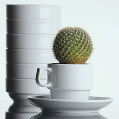 Блюдце «Прага» фарфор D=145/58,H=20мм белый, изображение 4